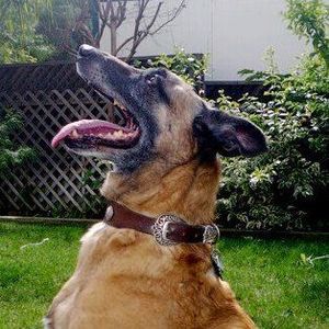 Meet your Posher, Laure